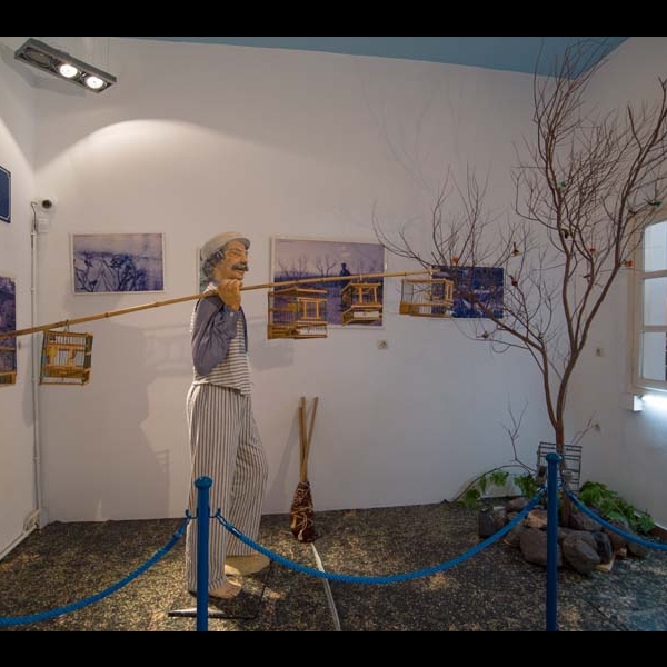 Museum Exhibitions