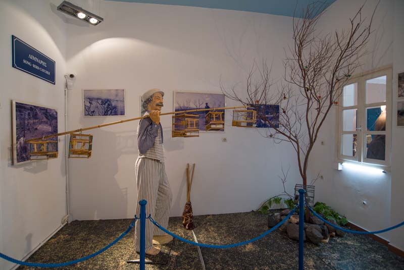 Museum Exhibitions